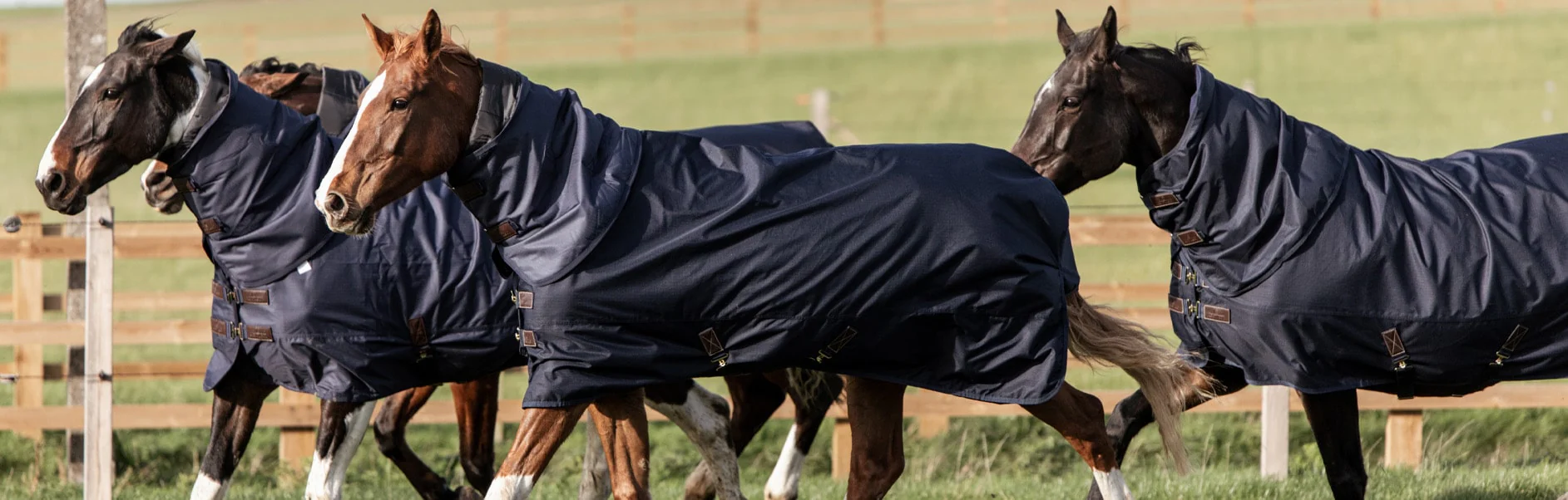 Welcome to Our Store